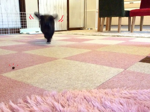 DE7B0601-D2C5-47D6-843F-32E04D5AF6DB