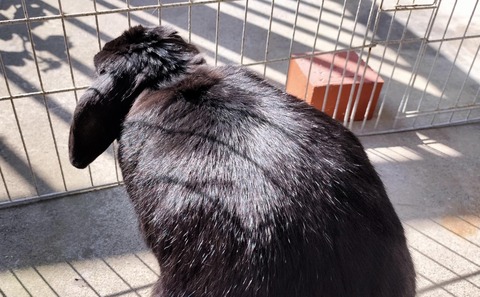 7087362E-9666-4C51-844B-10B229CBE262