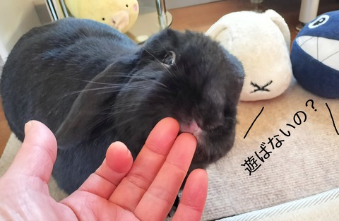 BA05ADCE-E5DF-4778-87BF-EEA064D42129