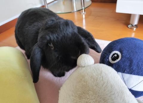 BADD57CC-C6AE-4382-B1B6-01DBE997160E