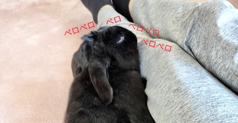 8A37A741-2A5D-4707-B443-4976EF2EFBBA