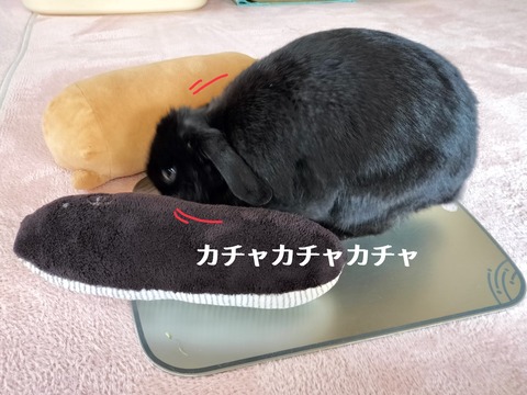 10A343F6-85E2-4991-9F58-AA08F4317A16