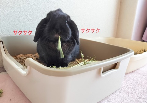 51EC6EFA-E3D7-4157-ADD7-64ADED9381D5