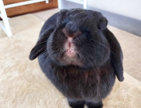 16D74E3A-6895-43E7-8772-5877EA5579F3