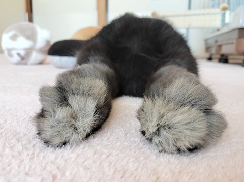 7937CDE3-A651-44B8-9B5E-16935768828A