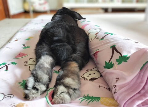 83AB23E5-1F19-4191-9EB8-106AFEE03629