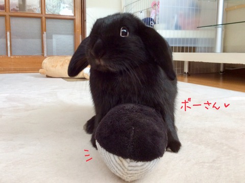 D5B37696-C898-433A-B1A3-A33C6B9B5A04