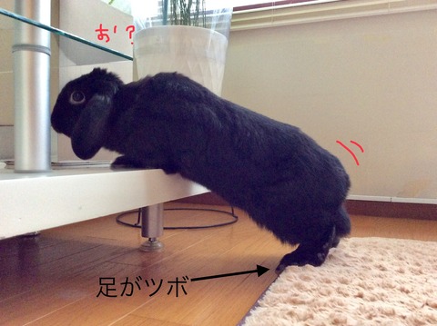 76CF9201-5F4C-450C-8E41-6C50E5435EE1