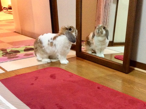 AD065516-C5CE-4BC6-B171-C60B3C5E67C9