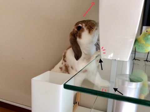 5451A203-FCC5-4A54-845E-58BB51F5D322