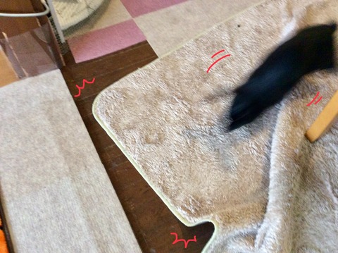 E9AF4F21-8586-4E62-B58E-523E84465216