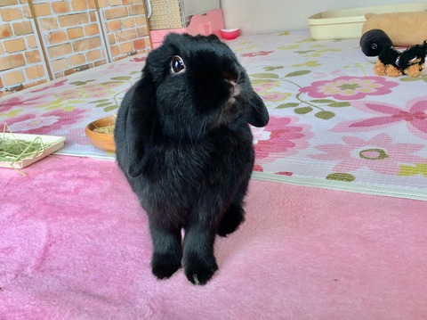 5CA593B4-A3C0-493F-9C4F-D9AA68BE3069