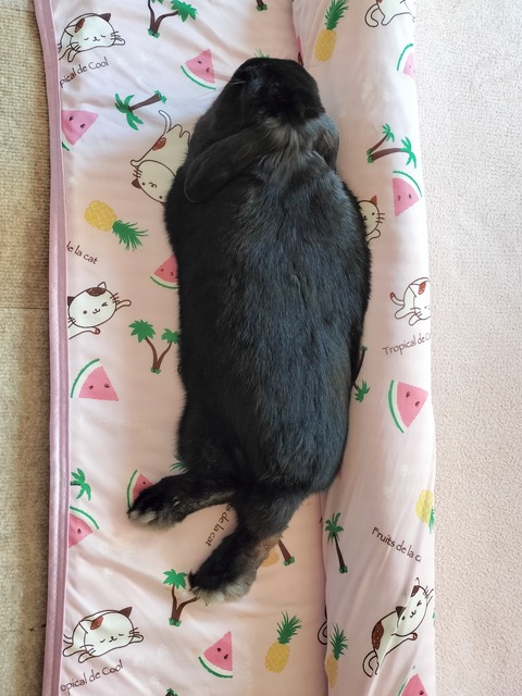 0A07AFFB-4485-4705-9722-11AD7509D157