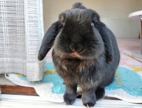 B33FE90B-DB81-4127-9970-C06D49D946D6