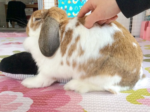 4D3915DC-F804-4FD5-92B5-C1C43A5021A8