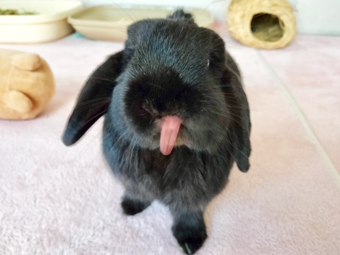 167EF2C8-5826-4302-96E8-40C5AD4E04FD