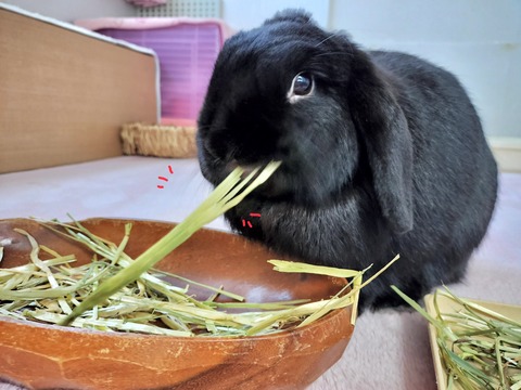 317C9556-E57E-42B1-BE0D-5BB9B8CC6A8F