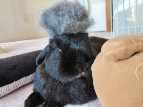 A8BE4CED-E110-4EF4-A129-92A062E1523B