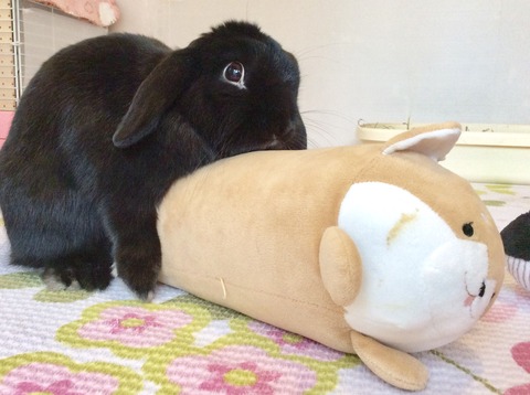 294BDB0B-62C7-4E54-AAAC-A87FAC9A315E