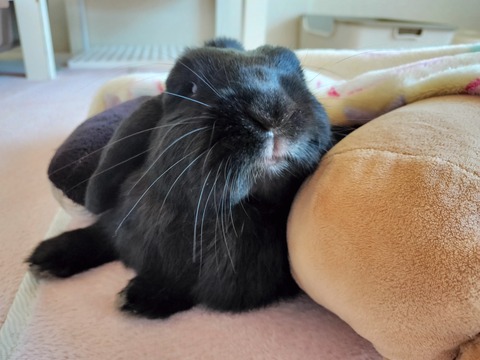 79142EA7-9802-4490-B7A0-53981A83B692