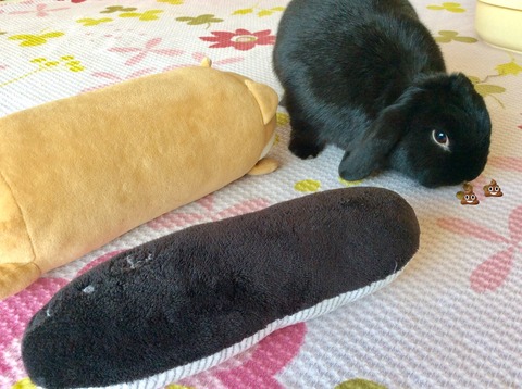 1CC57E03-DA77-48F4-BC95-5F0136D8C5C6