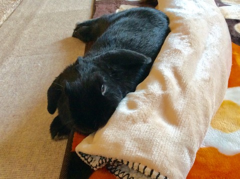 8BFB471B-1DCB-4A6B-AC4F-E0A12A7E49FC