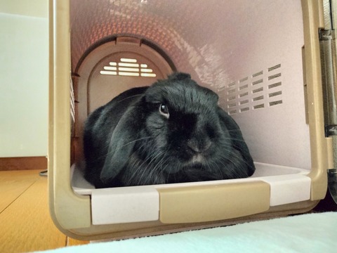 38603A04-8BF9-42F3-9F76-7AA35D5CEF0E