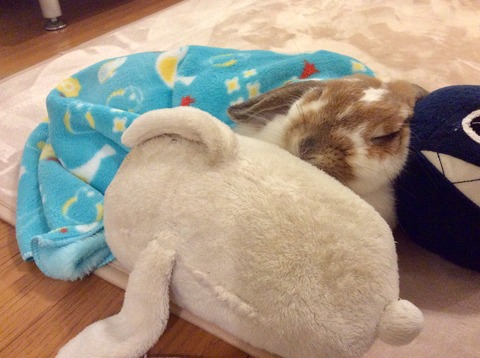 8049A77E-3E87-41B5-89E4-6A8B6F3521C8