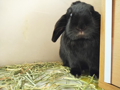 1CD18374-00C8-4563-BF1B-55FE72B12683