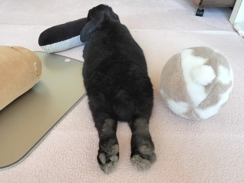 D1E4B239-E49A-49E3-82C1-5B5F58827031