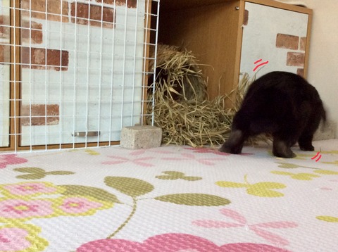 E5DA8818-7B98-42B4-AD2A-D008F1B9BA52