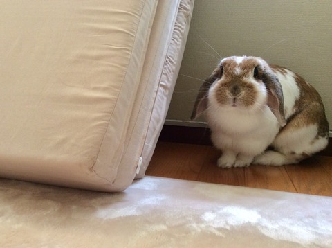 57272E7D-71CB-45D9-A48E-A0771F56FF1B