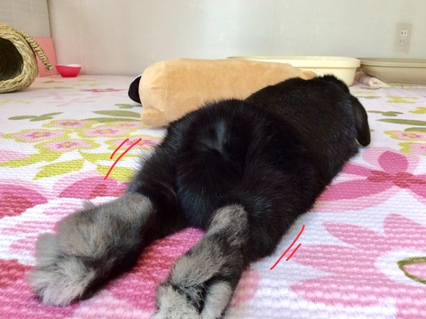 9E18FF0F-4EF8-49A3-9A03-2E0378BC358E