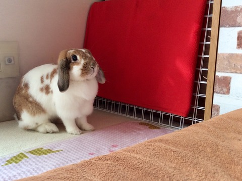 05316D07-3B20-4F22-BFBD-CE66FFF322DD