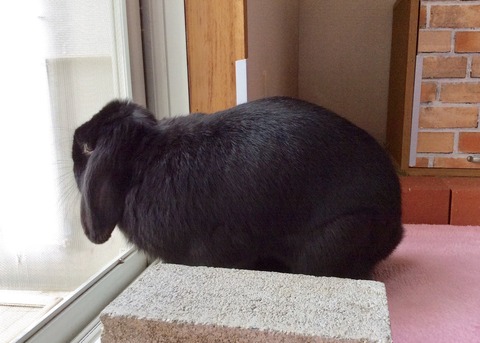 E6E8E91D-293C-4280-A3BA-1EF2CCC01188