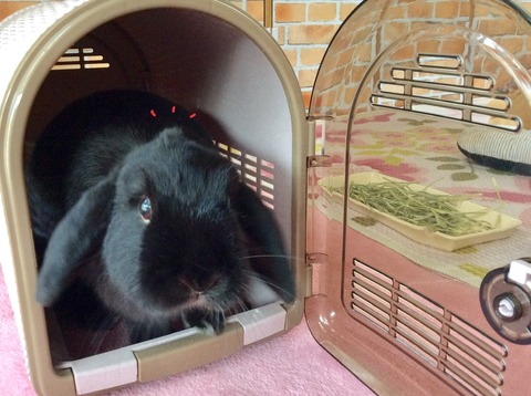 AF17C507-CE8A-44D7-B62D-934BD3B22E86