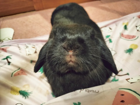 54B15B90-BEA5-46F3-8C0C-3E874E8CD7ED