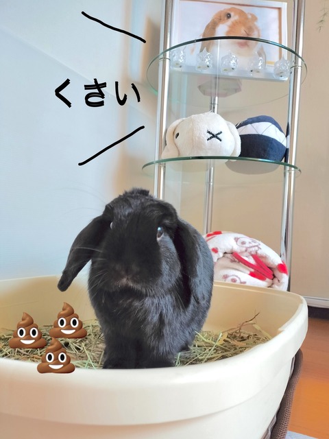 B38D326B-020D-43D0-BDCB-60F86CC31134