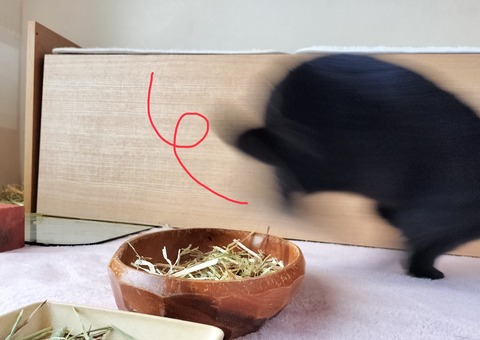 B73BD8A3-468E-4A7C-9367-BAC302716A31