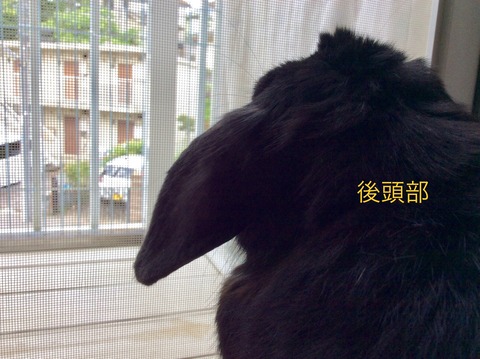 5F5F3806-04E2-4053-B996-CA023A43178D