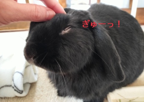 5049875C-579A-4975-A00A-1960D5CD1830