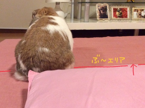 78E86CCA-98EB-4068-AE98-12690034336F