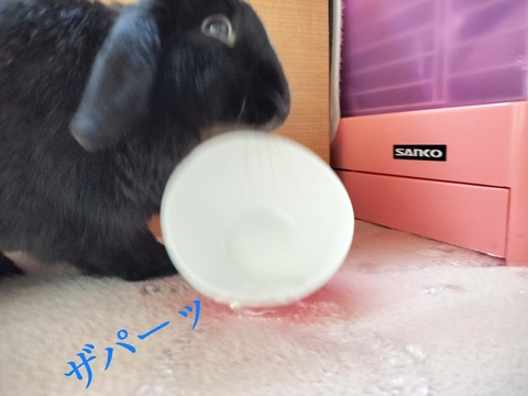 810244DC-CEDB-4014-85A3-FA34C0F281DB