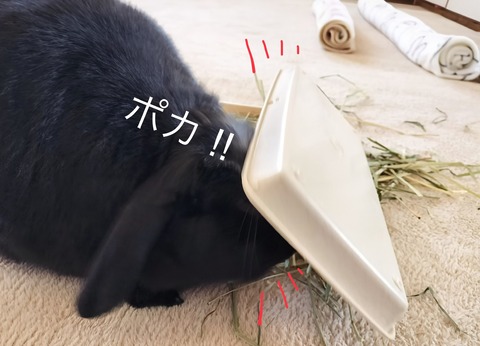 79EE1254-6C30-4F90-A57A-C8E029B9FEA7