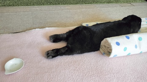 05E5B4F4-01E6-4C4E-8E36-4461090EA83E