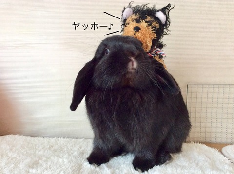 A1FD9E52-EC7C-438F-B909-798688945457