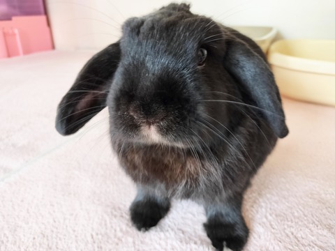 7B5FEBC9-58D0-4D1C-902F-517C46547484