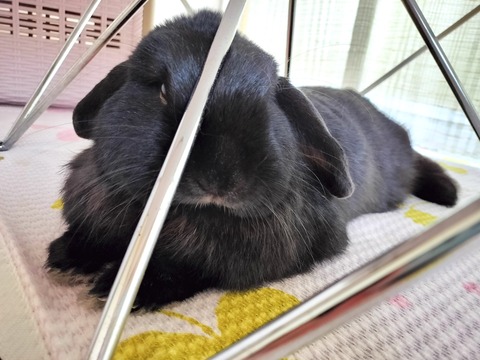 4698E730-5C58-4A41-A1DF-6A24DF047329