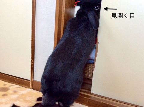 357EB9D7-3B90-4D26-810B-E1C37A733D8E