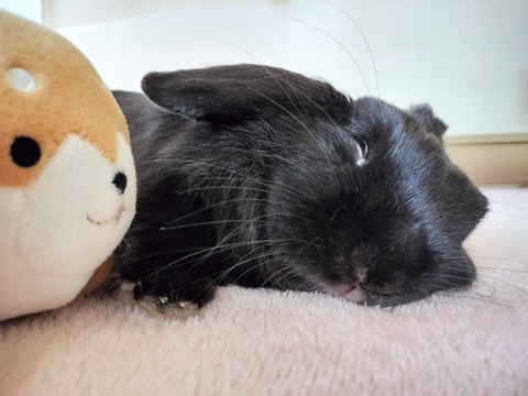 D2B5A53D-EDF1-48C9-B41B-95A5B166FBD7